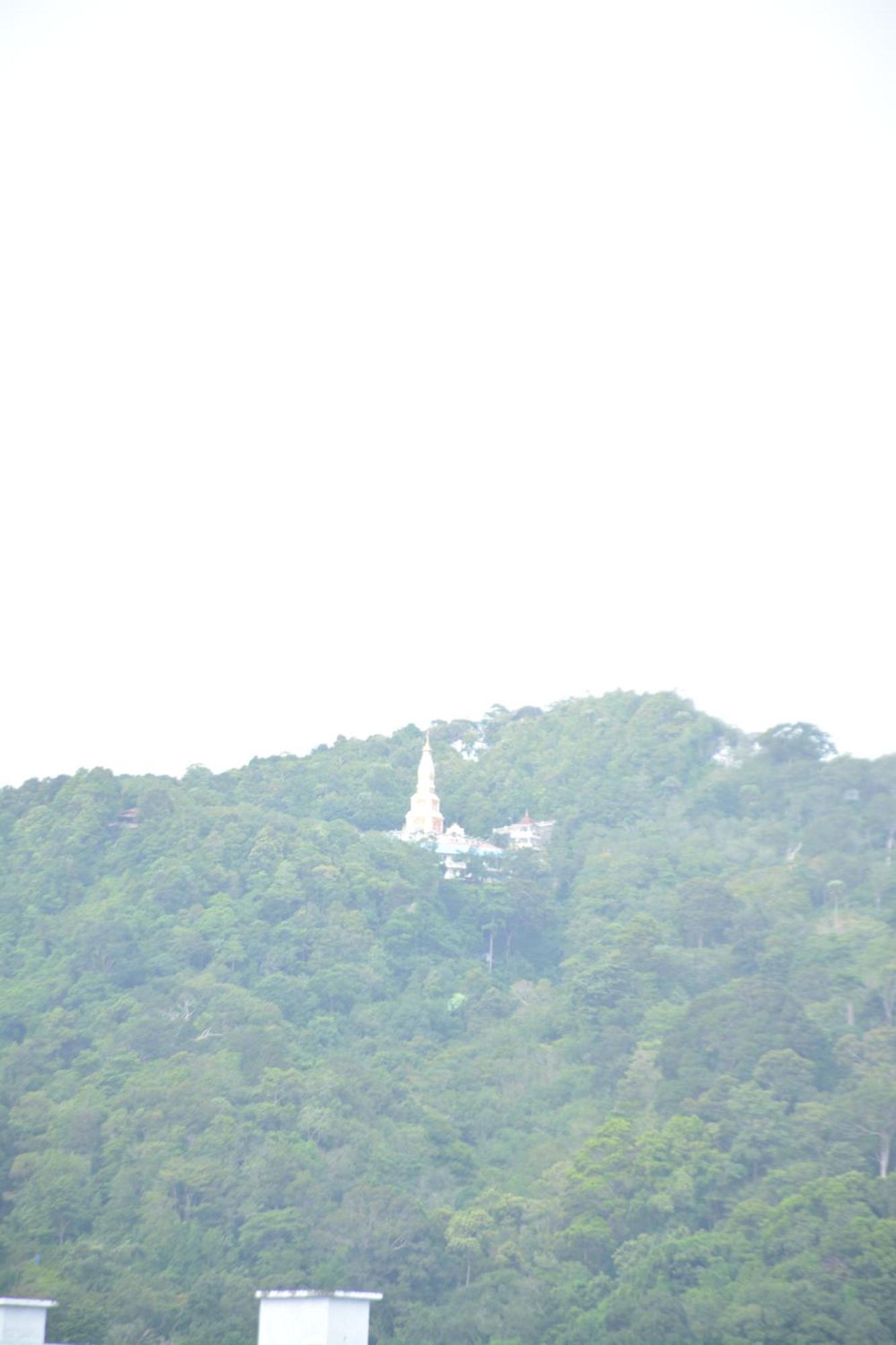 Chilli Salza Patong Hotel Bagian luar foto